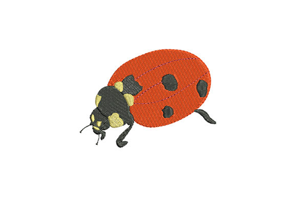 Cute Ladybug on a Walk